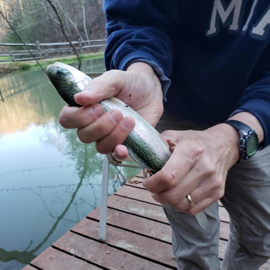 The Fishing Hole Cabin - Sage Vacations Gatlinburg Eksteriør bilde